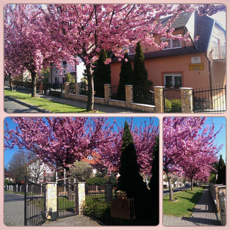 Szécsényi Apartman Hévíz Exterior foto